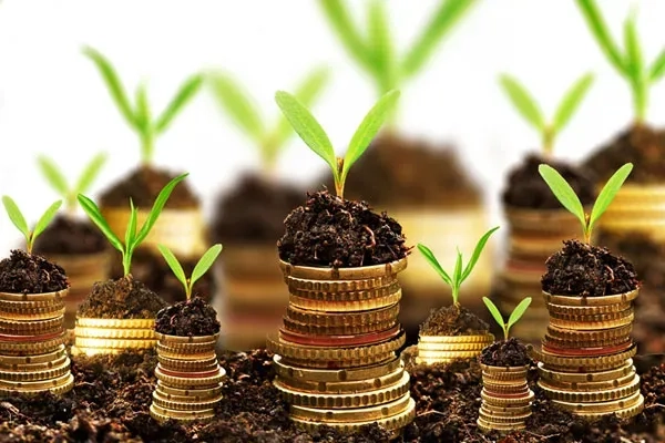 About Vraj Fund Sector Office and Team